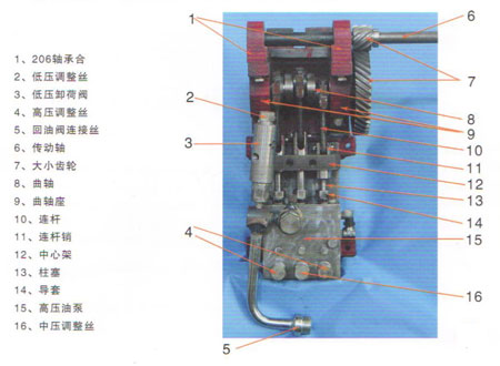 菜籽免蒸液壓榨油機(jī)